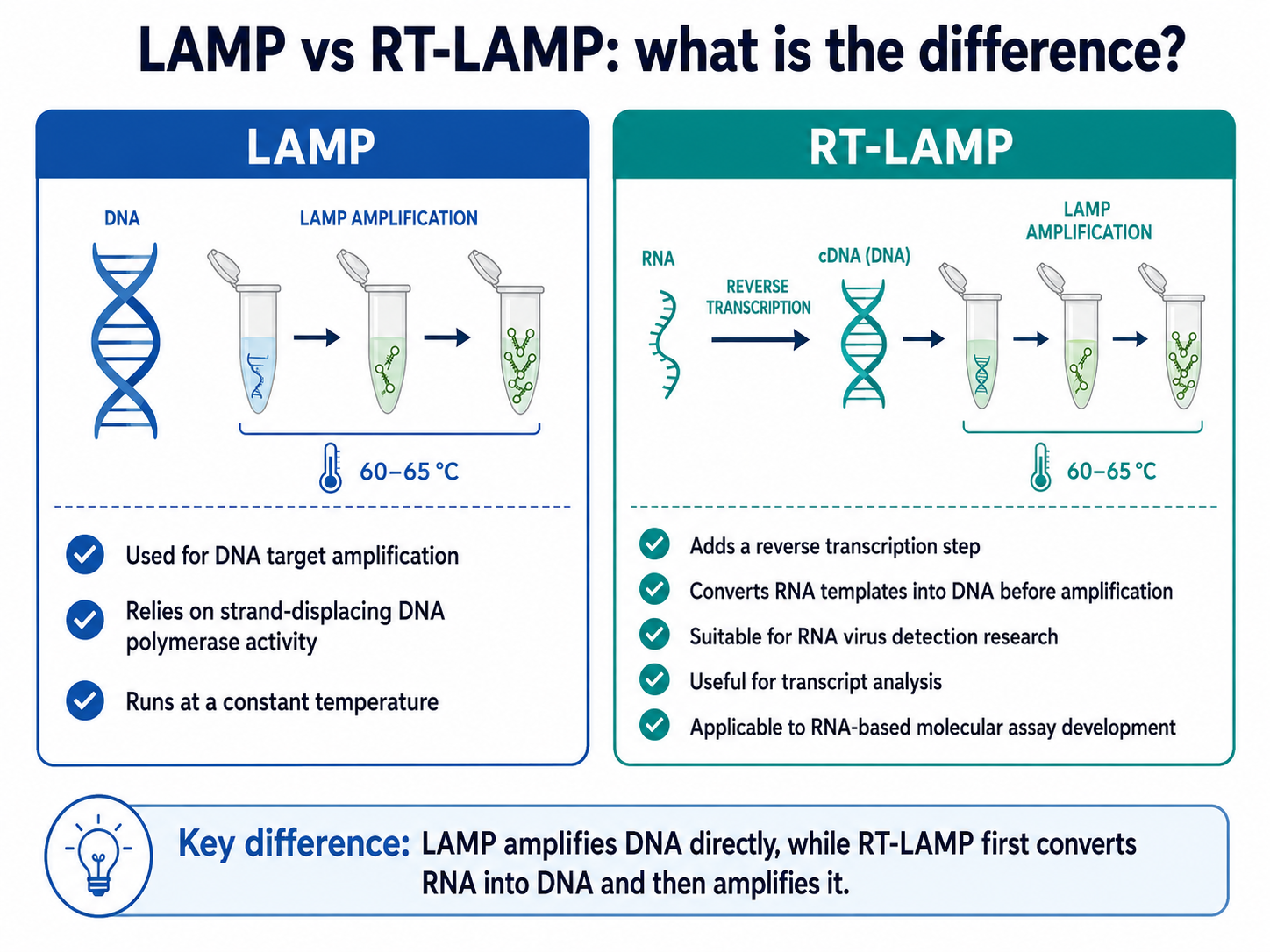 LAMP vs RT-LAMP LAMP vs RT-LAMP : What's the difference?