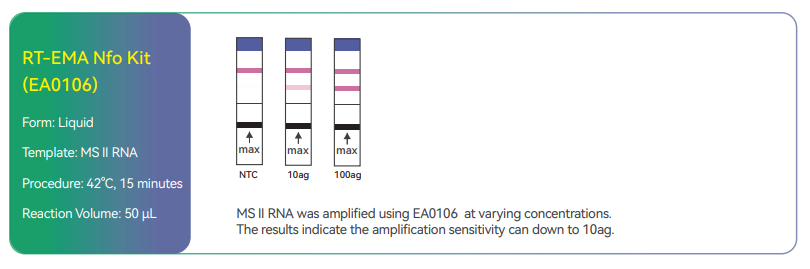 RT-EMA Nfo Kit for RNA amplification workflows RT-EMA Nfo Kit for RNA amplification workflows